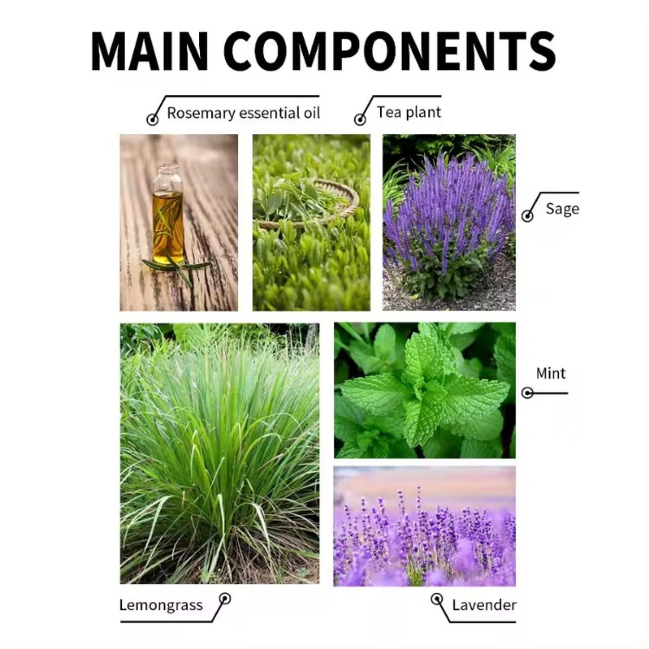 Hair Loss Treatment Serum Made of 34 Ingredients & 15 Herbs 30ml (Pack Of 2)